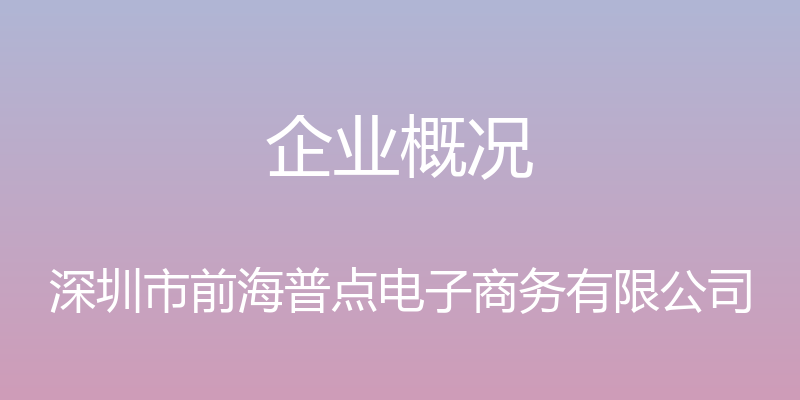 企业概况 - 深圳市前海普点电子商务有限公司